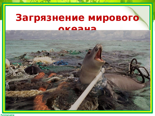 Загрязнение мирового океана 