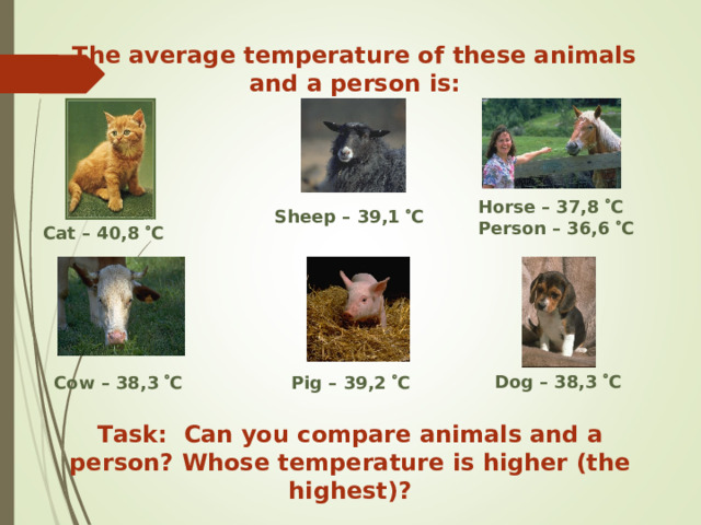 The average temperature of these animals and a person is: Horse – 37,8  C  Sheep – 39,1  C  Person – 36,6  C  Cat – 40,8  C  Dog – 38,3  C  Cow – 38,3  C  Pig – 39,2  C  Task: Can you compare animals and a person? Whose temperature is higher (the highest)? 