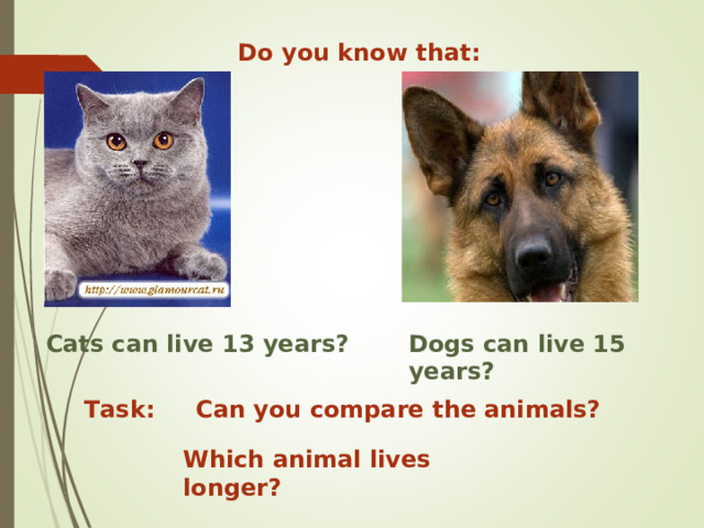 Do you know that: Cats can live 13 years? Dogs can live 15 years? Task: Can you compare the animals? Which animal lives longer? 