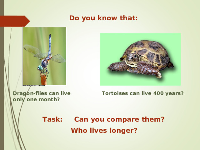 Do you know that: Dragon-flies can live only one month? Tortoises can live 400 years? Task: Can you compare them? Who lives longer? 