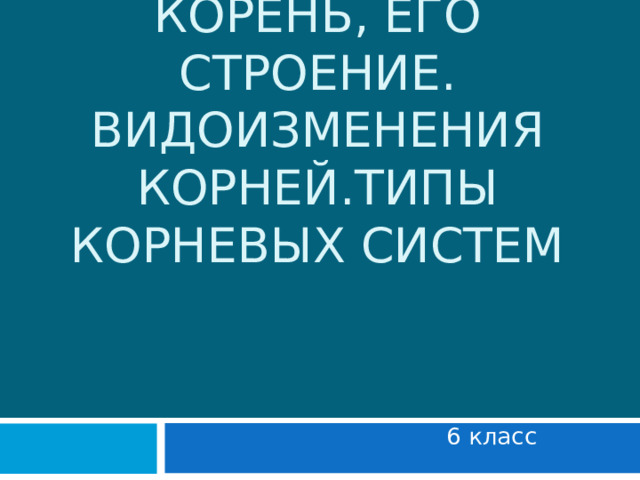 КОРЕНЬ, ЕГО СТРОЕНИЕ. ВИДОИЗМЕНЕНИЯ КОРНЕЙ.ТИПЫ КОРНЕВЫХ СИСТЕМ 6 класс 