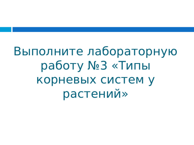 Выполните лабораторную работу №3 «Типы корневых систем у растений» 