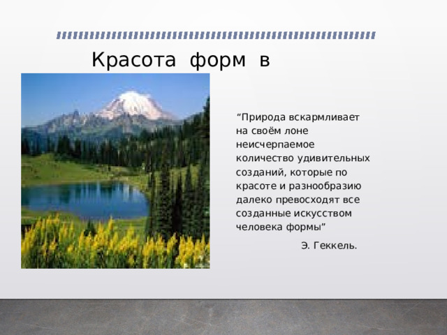  Красота форм в природе “ Природа вскармливает на своём лоне неисчерпаемое количество удивительных созданий, которые по красоте и разнообразию далеко превосходят все созданные искусством человека формы”  Э. Геккель. 