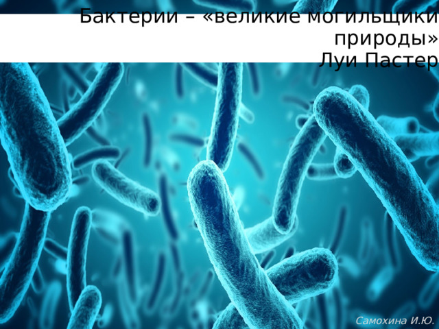 Бактерии – «великие могильщики природы»      Луи Пастер Самохина И.Ю. 