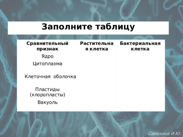 Заполните таблицу Сравнительный признак Растительная клетка Ядро Бактериальная клетка Цитоплазма  Клеточная оболочка Пластиды (хлоропласты) Вакуоль Самохина И.Ю. 