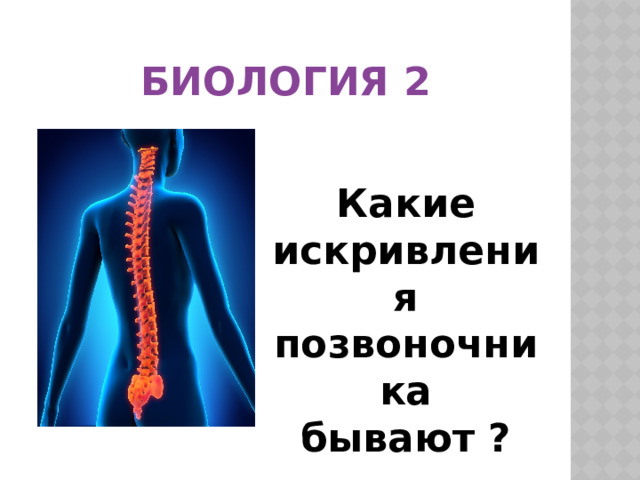 Биология 2 Какие искривления позвоночника бывают ? 