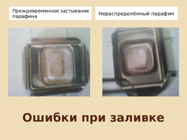 Презентация "Гистотехника"