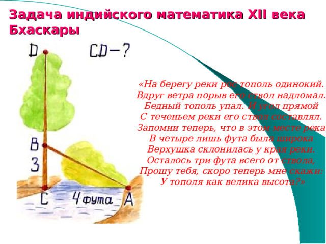 Задача индийского математика XII века Бхаскары   «На берегу реки рос тополь одинокий.  Вдруг ветра порыв его ствол надломал.  Бедный тополь упал. И угол прямой  С теченьем реки его ствол составлял.  Запомни теперь, что в этом месте река  В четыре лишь фута была широка  Верхушка склонилась у края реки.  Осталось три фута всего от ствола,  Прошу тебя, скоро теперь мне скажи:  У тополя как велика высота?»   