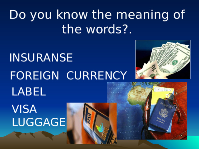 Do you know the meaning of the words?. INSURANSE FOREIGN CURRENCY   LABEL VISA LUGGAGE 
