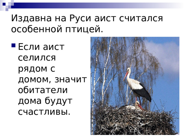 Издавна на Руси аист считался особенной птицей. Если аист селился рядом с домом, значит обитатели дома будут счастливы. 