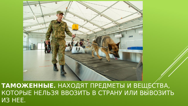 Таможенные.  Находят предметы и вещества, которые нельзя ввозить в страну или вывозить из нее. 