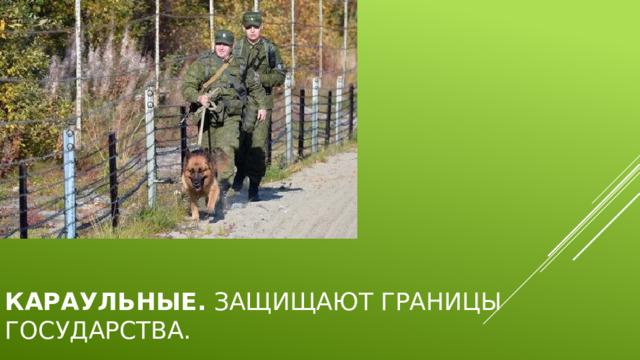 Караульные.  Защищают границы государства. 
