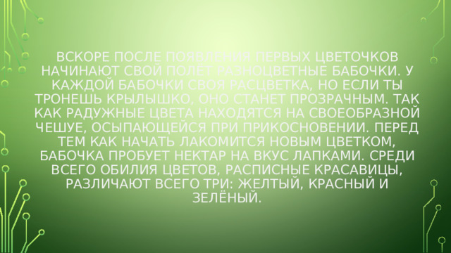 Вскоре после появления первых цветочков начинают свой полёт разноцветные бабочки. У каждой бабочки своя расцветка, но если ты тронешь крылышко, оно станет прозрачным. Так как радужные цвета находятся на своеобразной чешуе, осыпающейся при прикосновении. Перед тем как начать лакомится новым цветком, бабочка пробует нектар на вкус лапками. Среди всего обилия цветов, расписные красавицы, различают всего три: желтый, красный и зелёный. 