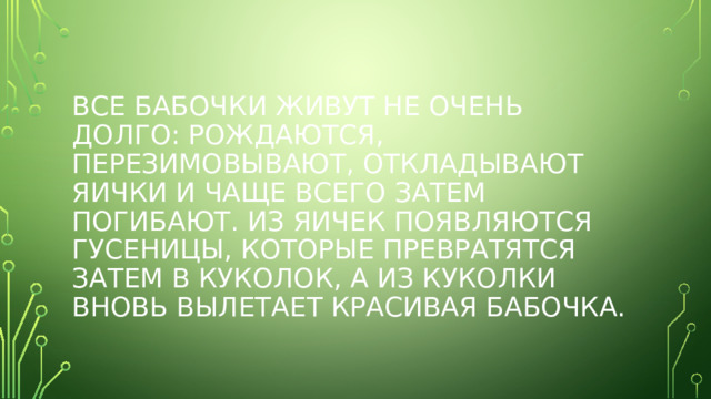 Все бабочки живут не очень долго: рождаются, перезимовывают, откладывают яички и чаще всего затем погибают. Из яичек появляются гусеницы, которые превратятся затем в куколок, а из куколки вновь вылетает красивая бабочка. 