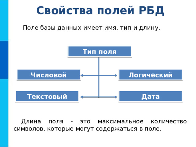 Типы полей бд