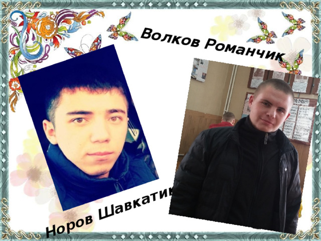 Норов Шавкатик Волков Романчик 