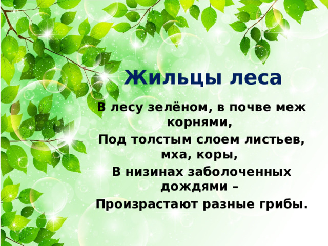 Жильцы леса В лесу зелёном, в почве меж корнями, Под толстым слоем листьев, мха, коры, В низинах заболоченных дождями – Произрастают разные грибы. 