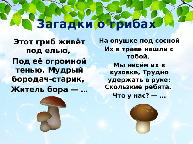 Загадки о грибах На опушке под сосной Их в траве нашли с тобой. Мы несём их в кузовке, Трудно удержать в руке: Скользкие ребята. Что у нас? — … Этот гриб живёт под елью, Под её огромной тенью. Мудрый бородач-старик, Житель бора — … 