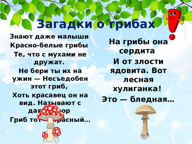 Загадки о грибах Знают даже малыши Красно-белые грибы Те, что с мухами не дружат. Не бери ты их на ужин — Несъедобен этот гриб, Хоть красавец он на вид. Называют с давних пор Гриб тот — красный… На грибы она сердита И от злости ядовита. Вот лесная хулиганка! Это — бледная… 