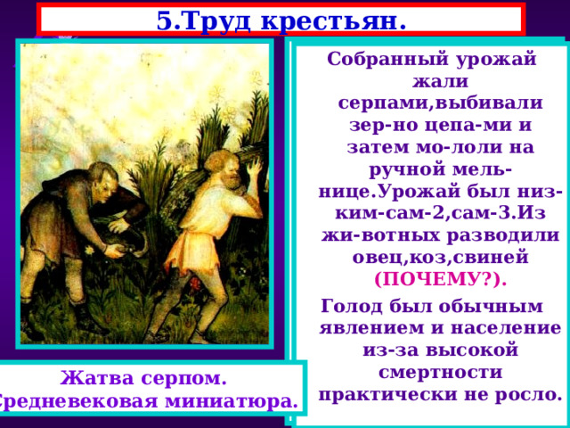 5.Труд крестьян. Основным занятием крестьян была работа на земле. Труд кресть-янина был более эф-фективен, чем труд раба. -Подумайте почему? Землю обрабатывали легким деревянным плугом, запряженным парой волов.Затем её рыхлили мотыгами. Земля истощалась за 2-3 года. Собранный урожай жали серпами,выбивали зер-но цепа-ми и затем мо-лоли на ручной мель-нице.Урожай был низ-ким-сам-2,сам-3.Из жи-вотных разводили овец,коз,свиней (ПОЧЕМУ?). Голод был обычным явлением и население из-за высокой смертности практически не росло. Жатва серпом. Средневековая миниатюра. 