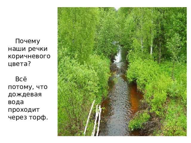 Почему наши речки коричневого цвета? Всё потому, что дождевая вода проходит через торф. 