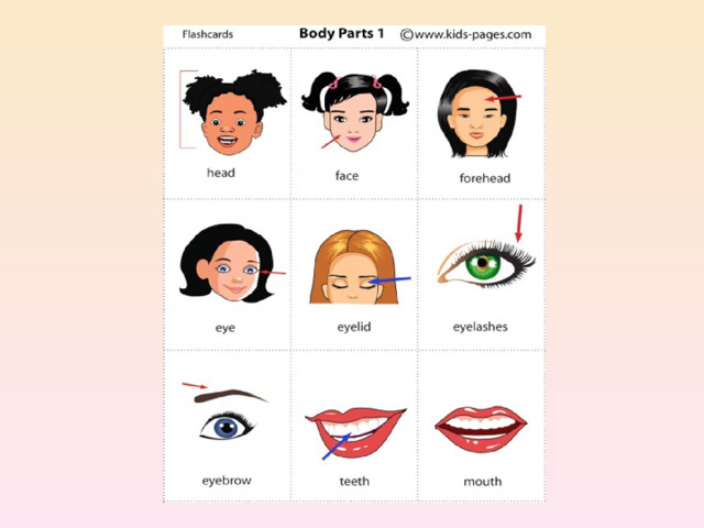 Face body. Parts of the face Flashcards for Kids. Face карточка по английскому. Body Parts face. Face Cards for Kids.