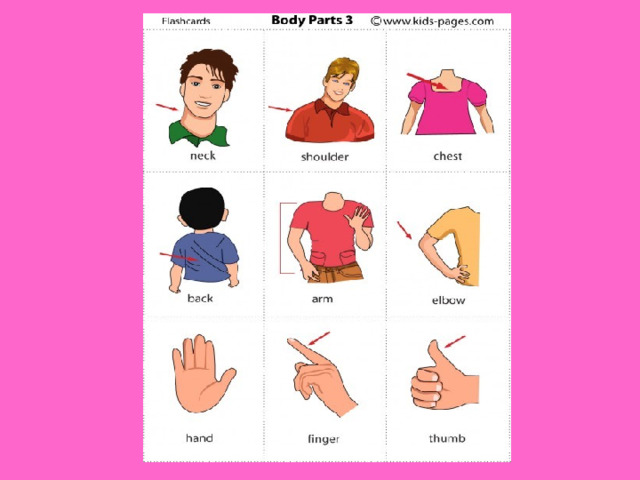 Body parts for kids. Части тела Flashcards. Bodyparts карточки для детей. Карточки с частями тела на английском языке для детей. Флеш карточки части тела.