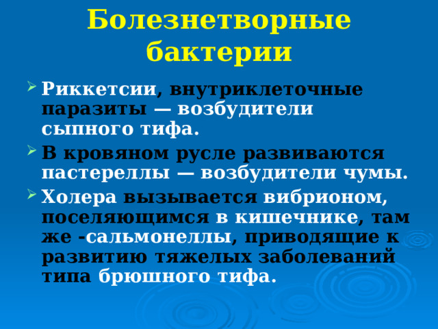 Болезнетворные бактерии Риккетсии , внутриклеточные паразиты — возбудители сыпного тифа. В кровяном русле  развиваются пастереллы — возбудители чумы. Холера вызывается вибрионом, поселяющимся в кишечнике , там же - сальмонеллы , приводящие к развитию тяжелых заболеваний типа брюшного тифа. 