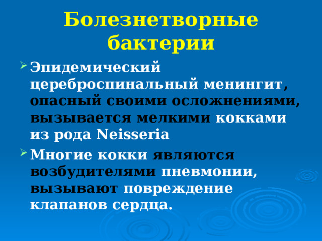 Болезнетворные бактерии Эпидемический цереброспинальный менингит , опасный своими осложнениями, вызывается мелкими кокками из рода Neisseria Многие кокки являются возбудителями пневмонии, вызывают повреждение клапанов сердца. 