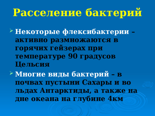 Расселение бактерий Некоторые флексибактерии – активно размножаются в горячих гейзерах при температуре 90 градусов Цельсия Многие виды бактерий – в почвах пустыни Сахары и во льдах Антарктиды, а также на дне океана на глубине 4км  