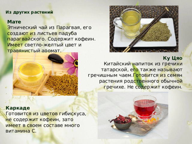 Из других растений   Мате Этнический чай из Парагвая, его создают из листьев падуба парагвайского. Содержит кофеин. Имеет светло-желтый цвет и травянистый аромат. Ку Цяо Китайский напиток из гречихи татарской, его также называют гречишным чаем.Готовится из семян растения родственного обычной гречихе. Не содержит кофеин. Каркаде Готовится из цветов гибискуса, не содержит кофеин, зато имеет в своем составе много витамина С. 