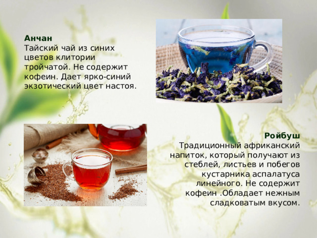 Анчан Тайский чай из синих цветов клитории тройчатой. Не содержит кофеин. Дает ярко-синий экзотический цвет настоя. Ройбуш Традиционный африканский напиток, который получают из стеблей, листьев и побегов кустарника аспалатуса линейного. Не содержит кофеин .Обладает нежным сладковатым вкусом. 