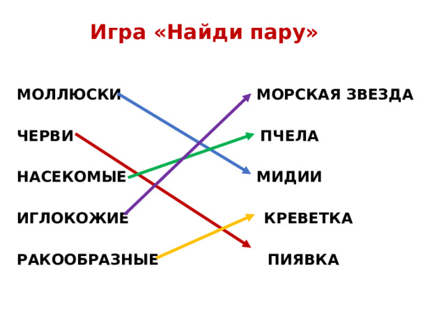 Игра «Найди пару» МОЛЛЮСКИ МОРСКАЯ ЗВЕЗДА  ЧЕРВИ ПЧЕЛА  НАСЕКОМЫЕ МИДИИ  ИГЛОКОЖИЕ КРЕВЕТКА  РАКООБРАЗНЫЕ ПИЯВКА 