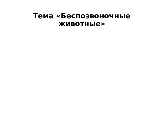  Тема «Беспозвоночные животные» 