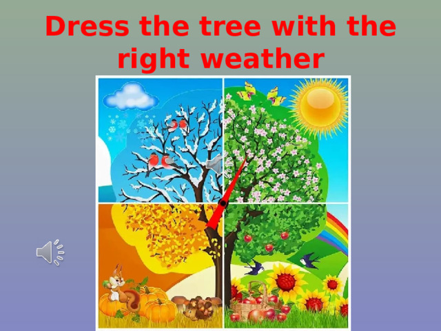Dress the tree with the right weather 