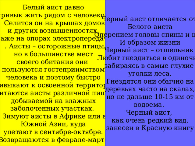 Белый аист давно  привык жить рядом с человеком.  Селится он на крышах домов  и других возвышенностях, даже на опорах электропередач.  . Аисты – осторожные птицы,  но в большинстве мест своего обитания они пользуются гостеприимством  человека и поэтому быстро привыкают к освоенной территории . Питаются аисты различной пищей,  добываемой на влажных заболоченных участках.  Зимуют аисты в Африке или в  Южной Азии, куда улетают в сентябре-октябре.  Возвращаются в феврале-марте Черный аист отличается от Белого аиста Оперением головы спины и шеи И образом жизни Черный аист – отшельник Любит гнездиться в одиночку, забираясь в самые глухие уголки леса. Гнездятся они обычно на  деревьях часто на скалах, но не дальше 10-15 км от водоема. Черный аист, как очень редкий вид,  занесен в Красную книгу 