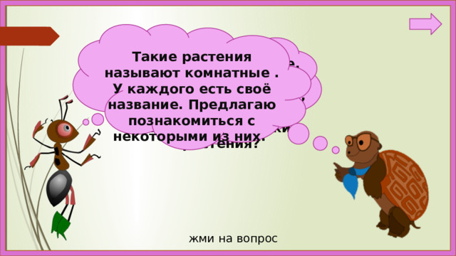 Такие растения называют комнатные . У каждого есть своё название. Предлагаю познакомиться с некоторыми из них. Ребята, а вы знаете,  какие растения растут у нас в классе, дома? Как называют такие растения? жми на вопрос 