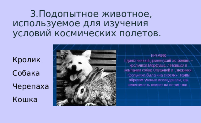  3.Подопытное животное, используемое для изучения условий космических полетов.  Кролик Собака Черепаха Кошка 