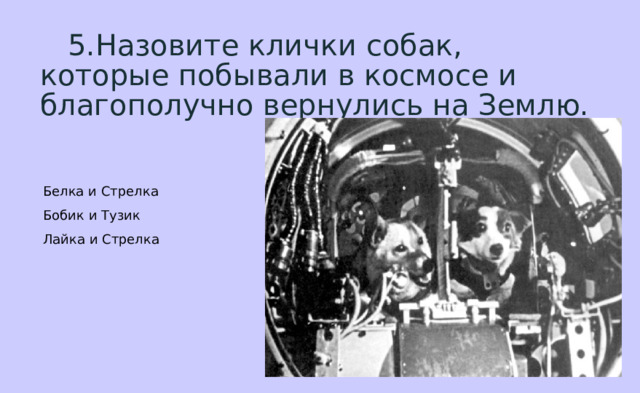 Клички собак в космосе. В космосе побывали собаки клички которых. В космосе побывали собаки клички которых как называли. Как звали собак которые полетели в космос и успешно вернулись.