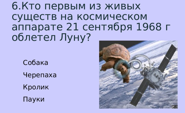 6.Кто первым из живых существ на космическом аппарате 21 сентября 1968 г облетел Луну? Собака Черепаха Кролик Пауки 