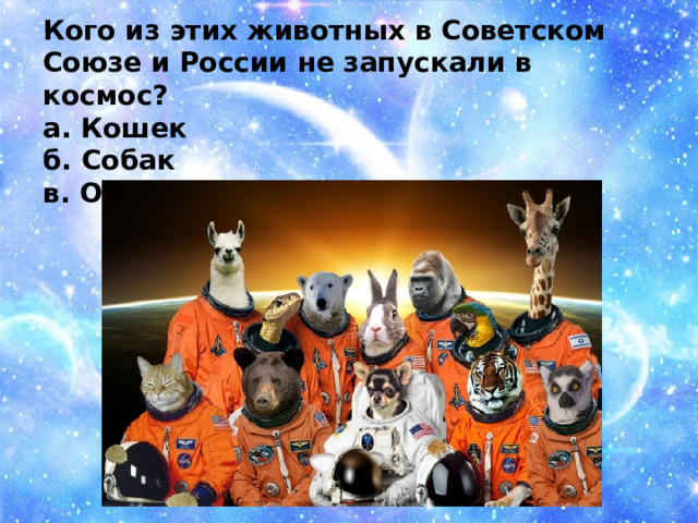 Кого из этих животных в Советском Союзе и России не запускали в космос? а. Кошек б. Собак в. Обезьян 