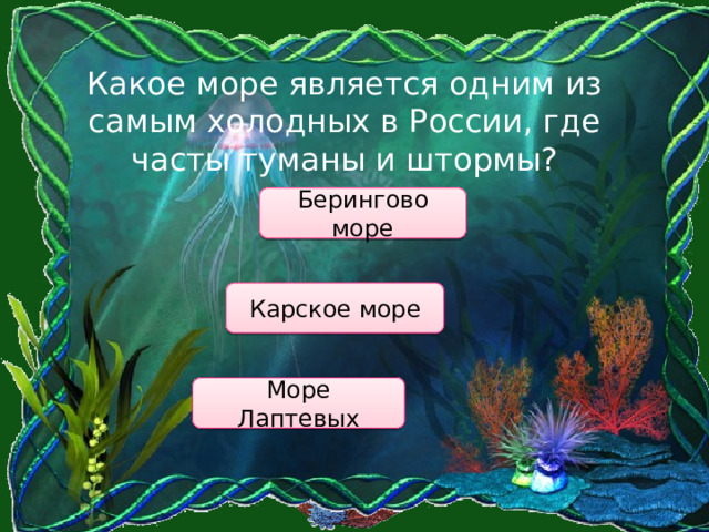 Какое море является одним из самым холодных в России, где часты туманы и штормы? Берингово море Карское море Море Лаптевых 