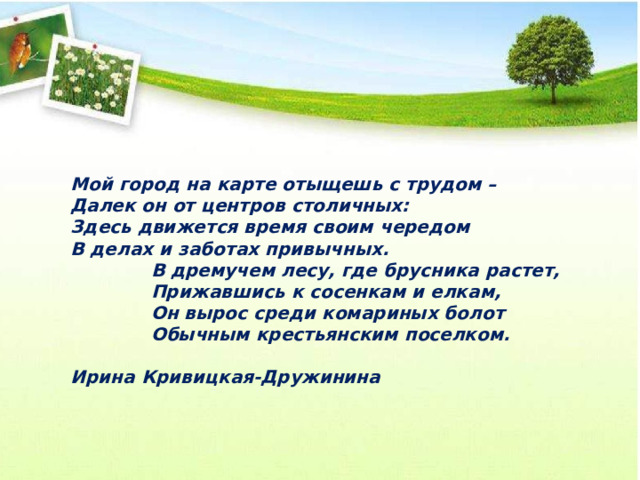 Мой город на карте отыщешь с трудом –  Далек он от центров столичных:  Здесь движется время своим чередом  В делах и заботах привычных.  В дремучем лесу, где брусника растет,  Прижавшись к сосенкам и елкам,  Он вырос среди комариных болот  Обычным крестьянским поселком.   Ирина Кривицкая-Дружинина   