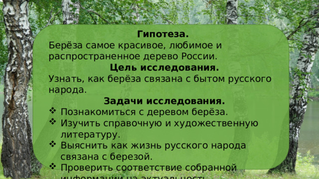 Гипотеза.  Берёза самое красивое, любимое и распространенное дерево России. Цель исследования. Узнать, как берёза связана с бытом русского народа. Задачи исследования. Познакомиться с деревом берёза. Изучить справочную и художественную литературу. Выяснить как жизнь русского народа связана с березой. Проверить соответствие собранной информации на актуальность. 