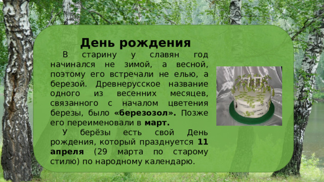 День рождения В старину у славян год начинался не зимой, а весной, поэтому его встречали не елью, а березой. Древнерусское название одного из весенних месяцев, связанного с началом цветения березы, было «березозол». Позже его переименовали в март.  У берёзы есть свой День рождения, который празднуется 11 апреля (29 марта по старому стилю) по народному календарю. 