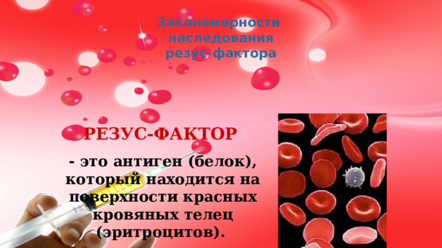 Закономерности наследования резус-фактора РЕЗУС-ФАКТОР    - это антиген (белок), который находится на поверхности красных кровяных телец (эритроцитов).  1 