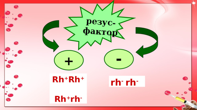 резус- фактор  - + Rh + Rh +  Rh + rh - rh - rh - 1 