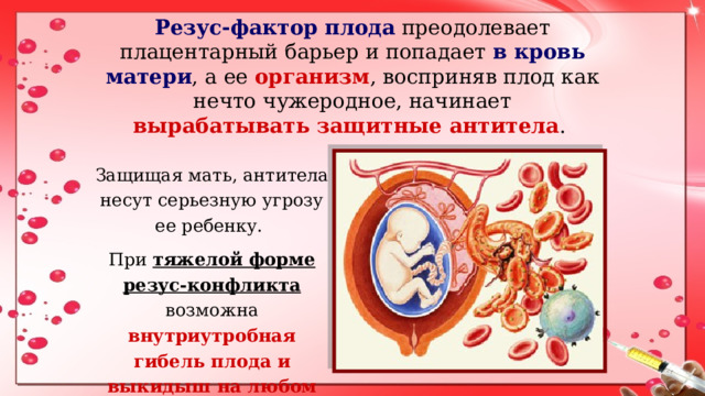 Резус-фактор плода преодолевает плацентарный барьер и попадает в кровь матери , а ее организм , восприняв плод как нечто чужеродное, начинает вырабатывать защитные антитела . Защищая мать, антитела несут серьезную угрозу ее ребенку. При тяжелой форме резус-конфликта возможна внутриутробная гибель плода и выкидыш на любом сроке беременности.  1 