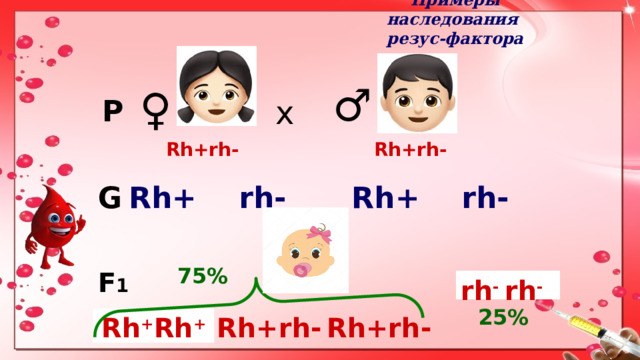 Примеры наследования  резус-фактора ♂ ♀ P x Rh+rh- Rh+rh- rh- Rh+ rh- Rh+ G 75% F 1 rh - rh - 25% Rh + Rh + Rh+rh- Rh+rh- 1 