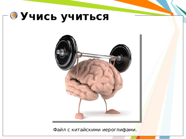 Учись учиться Файл с китайскими иероглифами. 